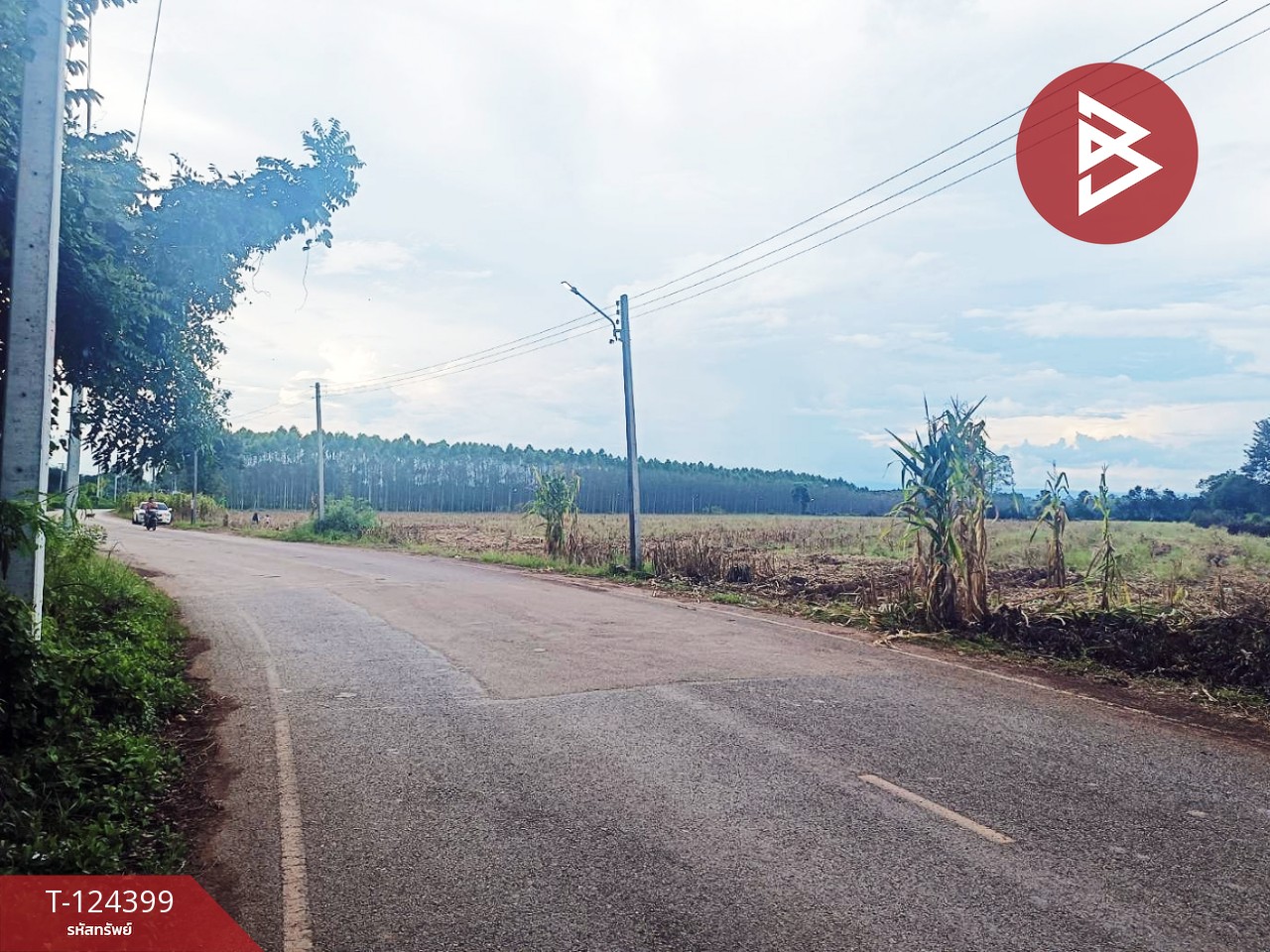 ขายที่ดิน เนื้อที่ 21 ไร่ 2 งาน 28 ตร.วา ศรีมหาโพธิ ปราจีนบุรี 8