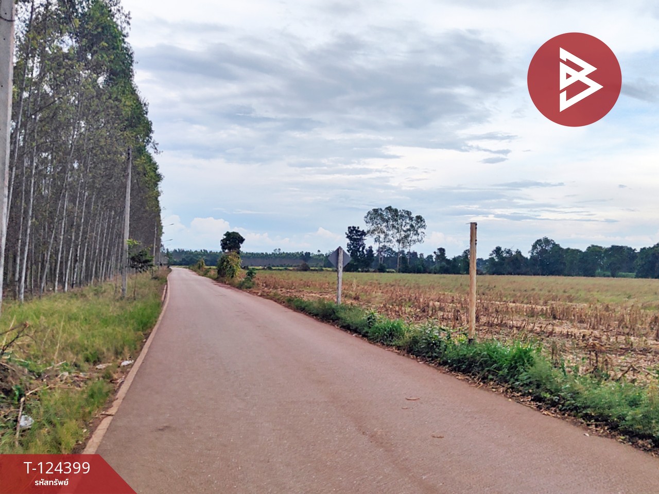 ขายที่ดิน เนื้อที่ 21 ไร่ 2 งาน 28 ตร.วา ศรีมหาโพธิ ปราจีนบุรี 2