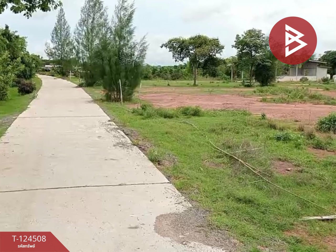 ขายที่ดินพร้อมสิ่งปลูกสร้าง 26 ไร่ 1 งาน 34 ตร.วา ด่านขุนทด นครราชสีมา 4