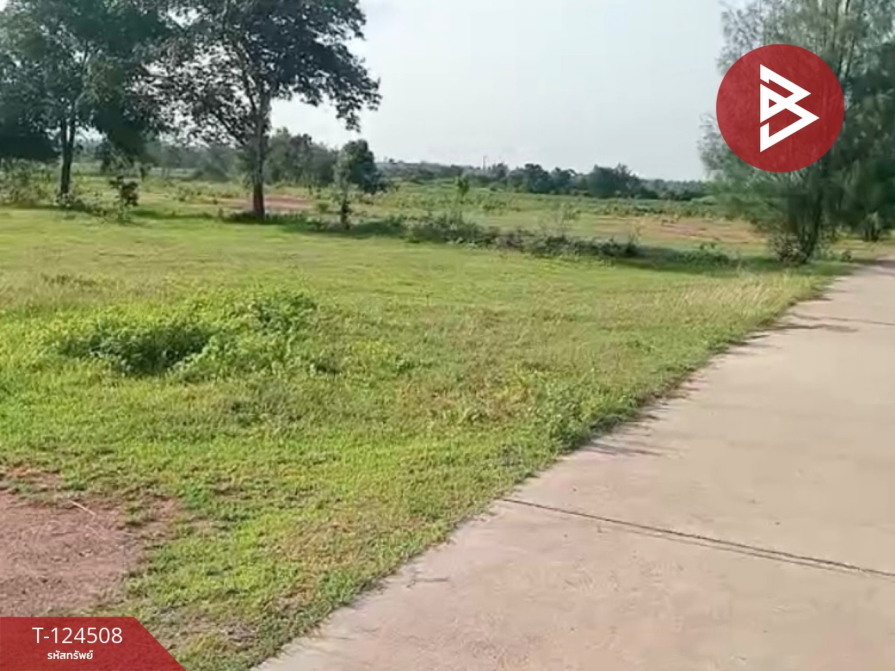 ขายที่ดินพร้อมสิ่งปลูกสร้าง 26 ไร่ 1 งาน 34 ตร.วา ด่านขุนทด นครราชสีมา 5