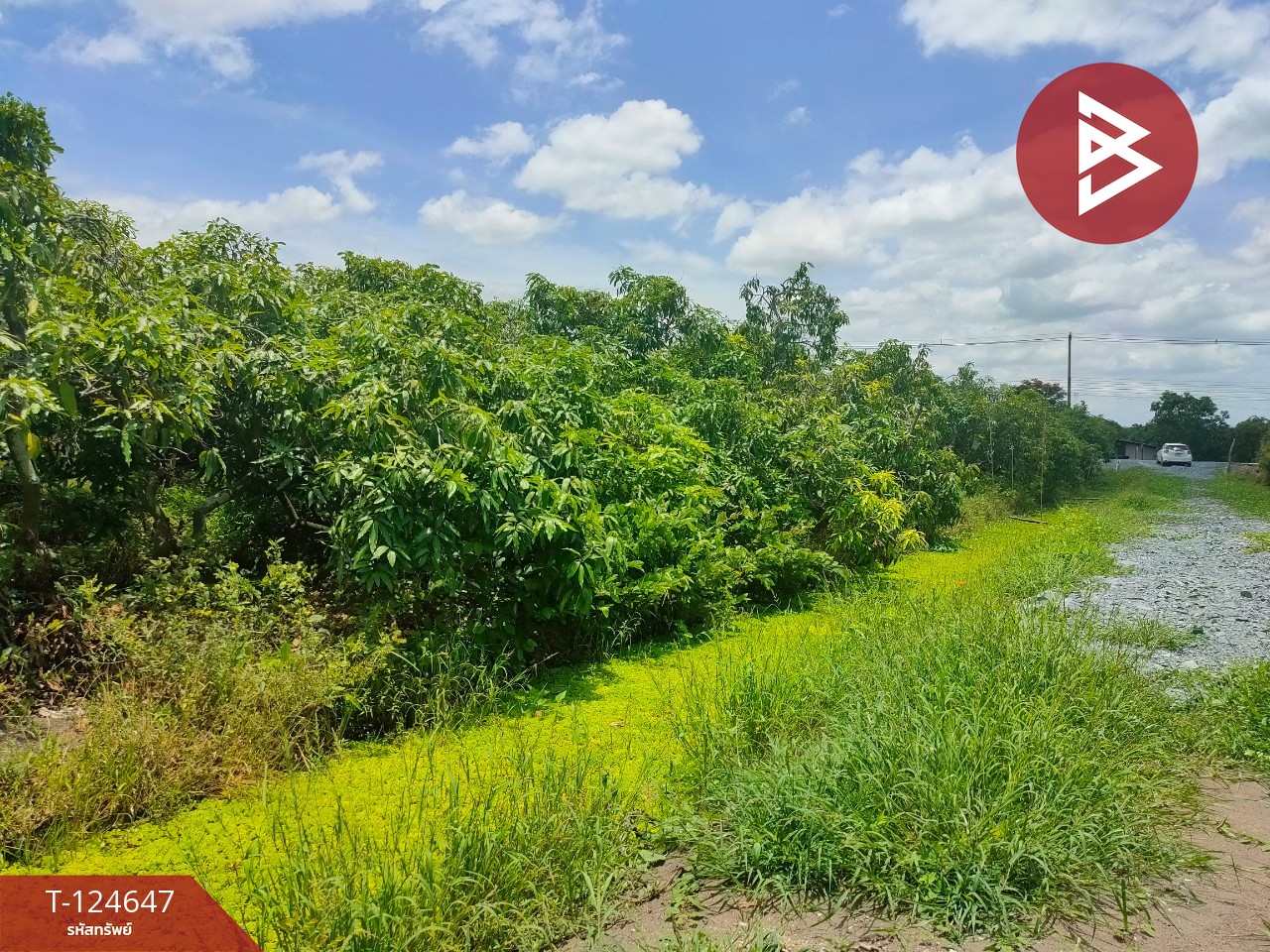 ขายที่ดิน เนื้อที่ 3 ไร่ กระทุ่มแบน สมุทรสาคร 12