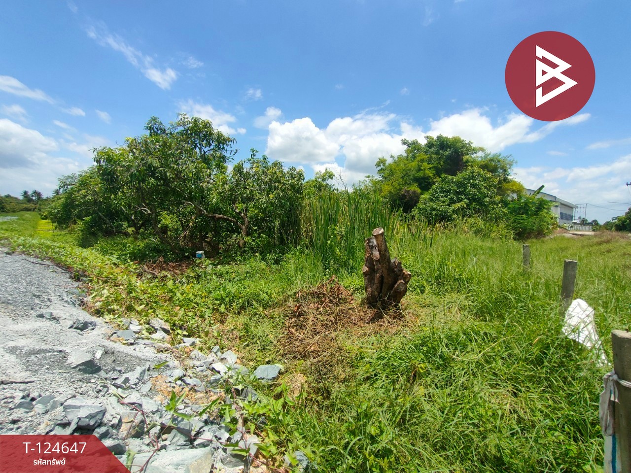 ขายที่ดิน เนื้อที่ 3 ไร่ กระทุ่มแบน สมุทรสาคร 7