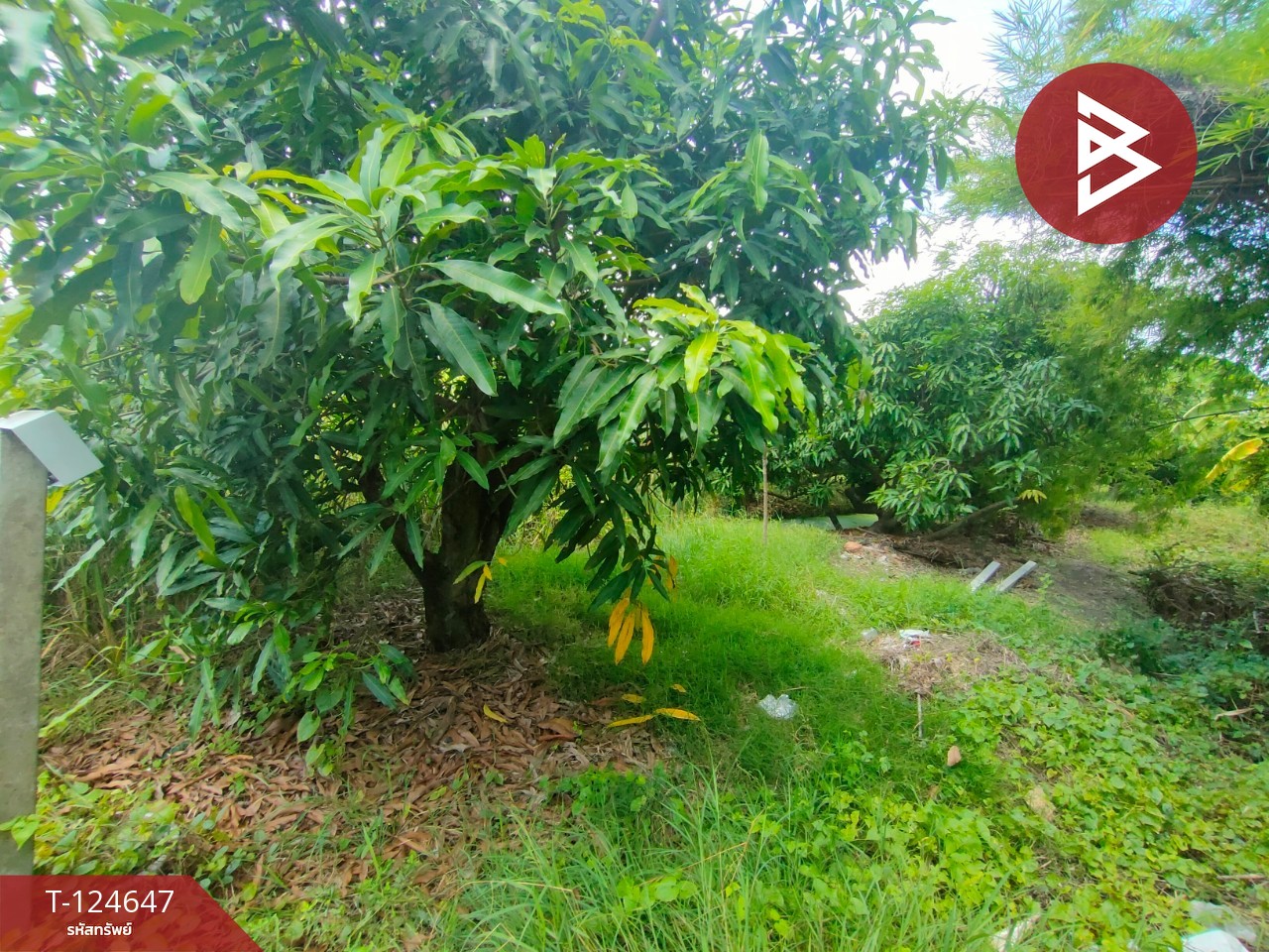 ขายที่ดิน เนื้อที่ 3 ไร่ กระทุ่มแบน สมุทรสาคร 6