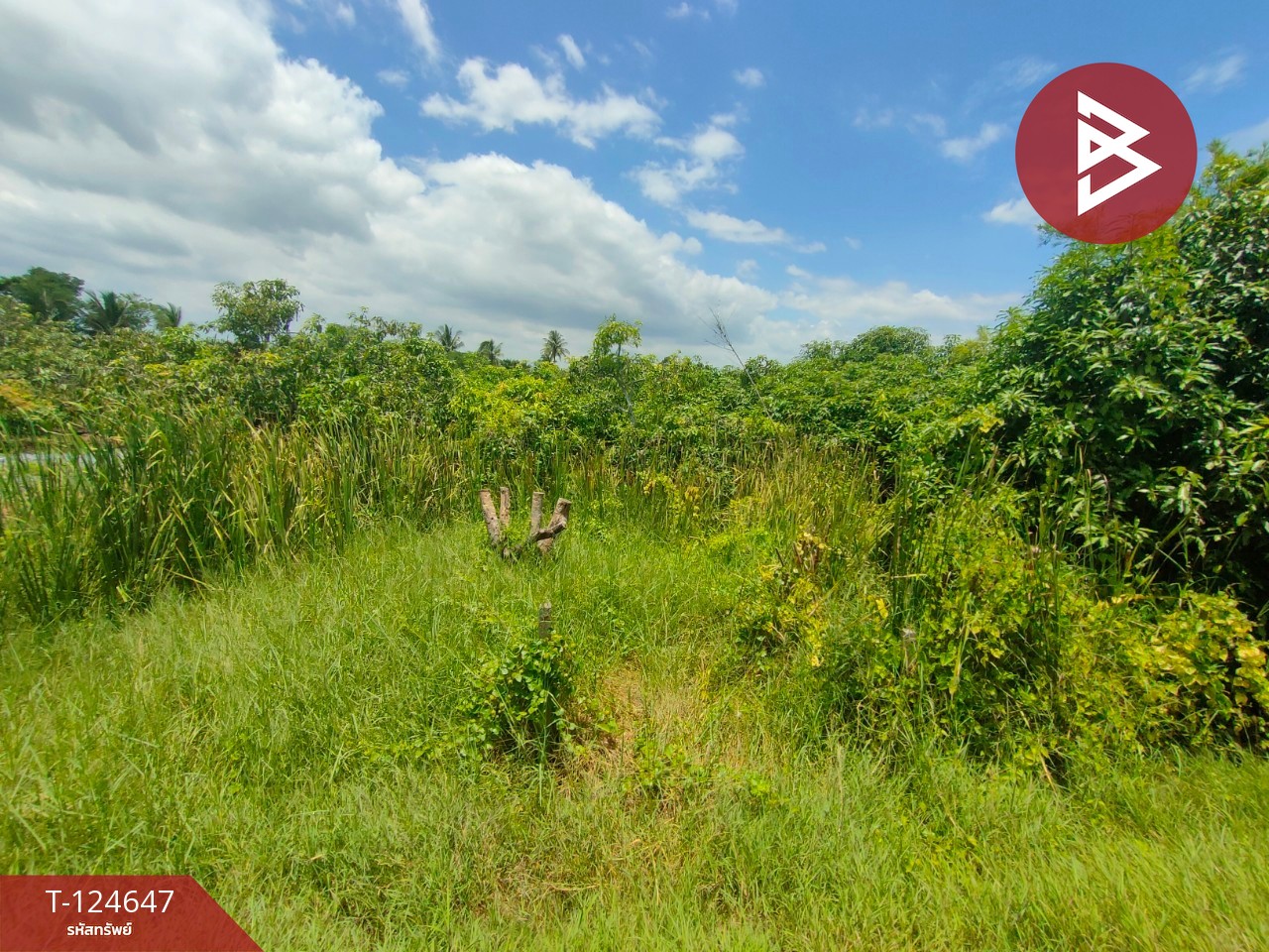 ขายที่ดิน เนื้อที่ 3 ไร่ กระทุ่มแบน สมุทรสาคร 5