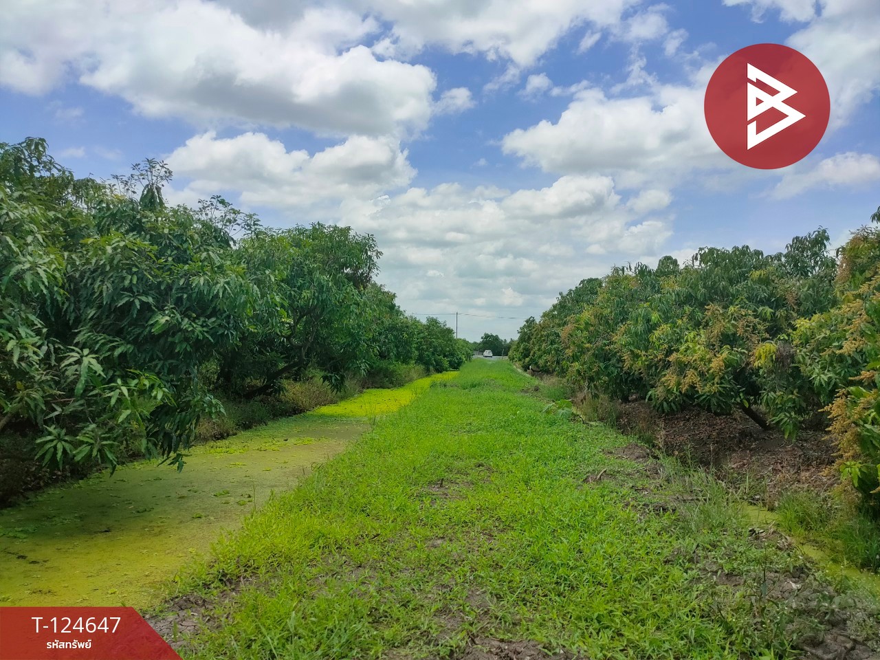 ขายที่ดิน เนื้อที่ 3 ไร่ กระทุ่มแบน สมุทรสาคร 11