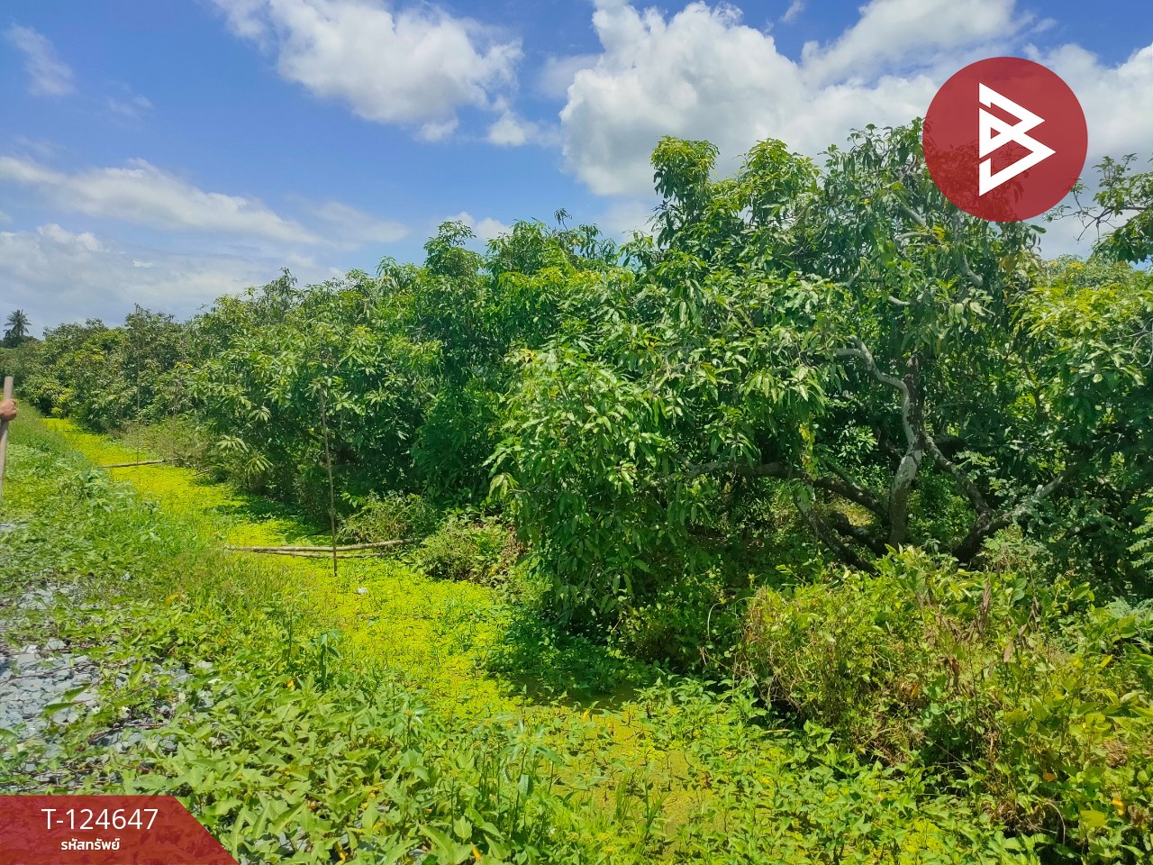 ขายที่ดิน เนื้อที่ 3 ไร่ กระทุ่มแบน สมุทรสาคร 10