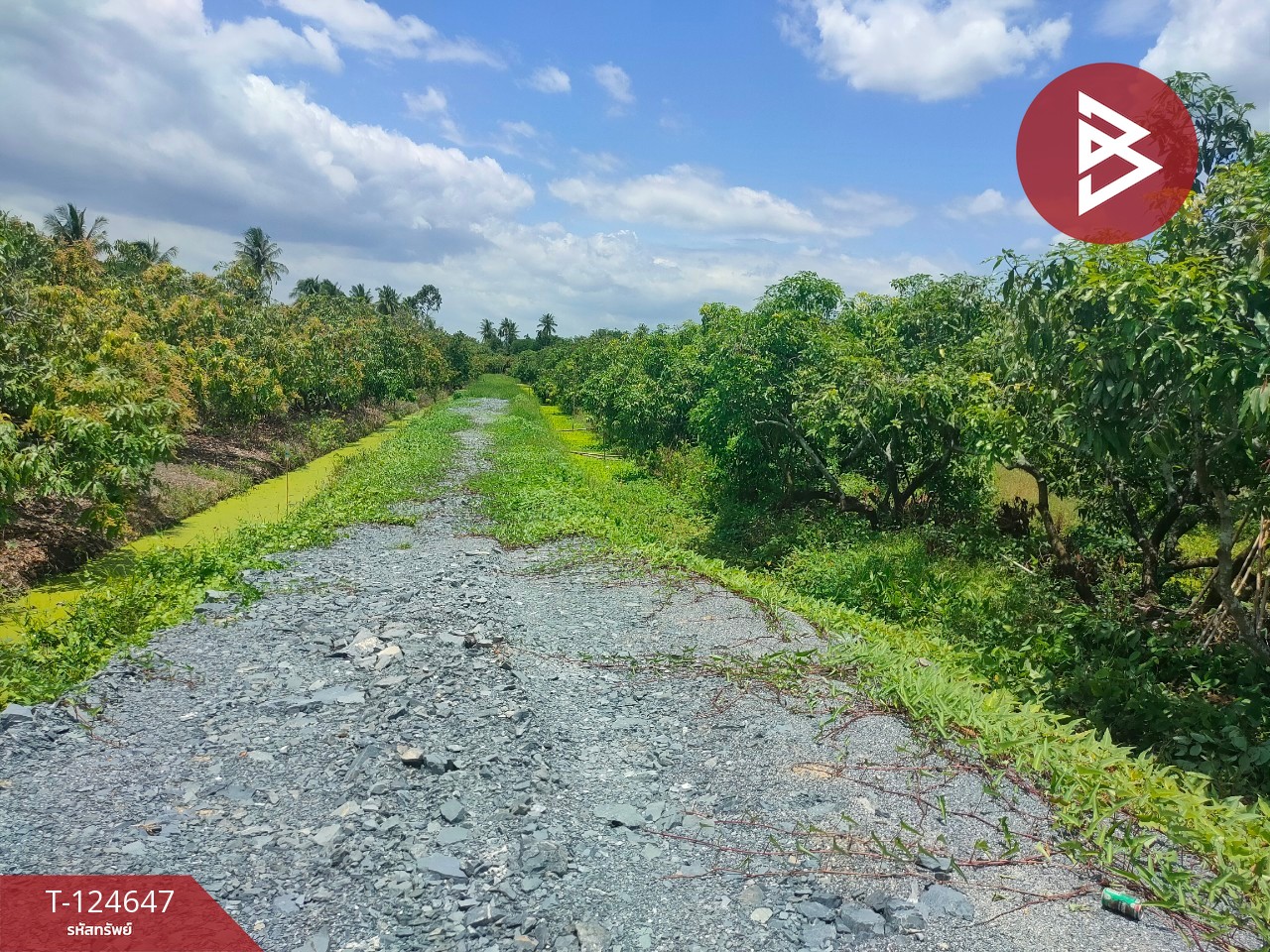 ขายที่ดิน เนื้อที่ 3 ไร่ กระทุ่มแบน สมุทรสาคร 9