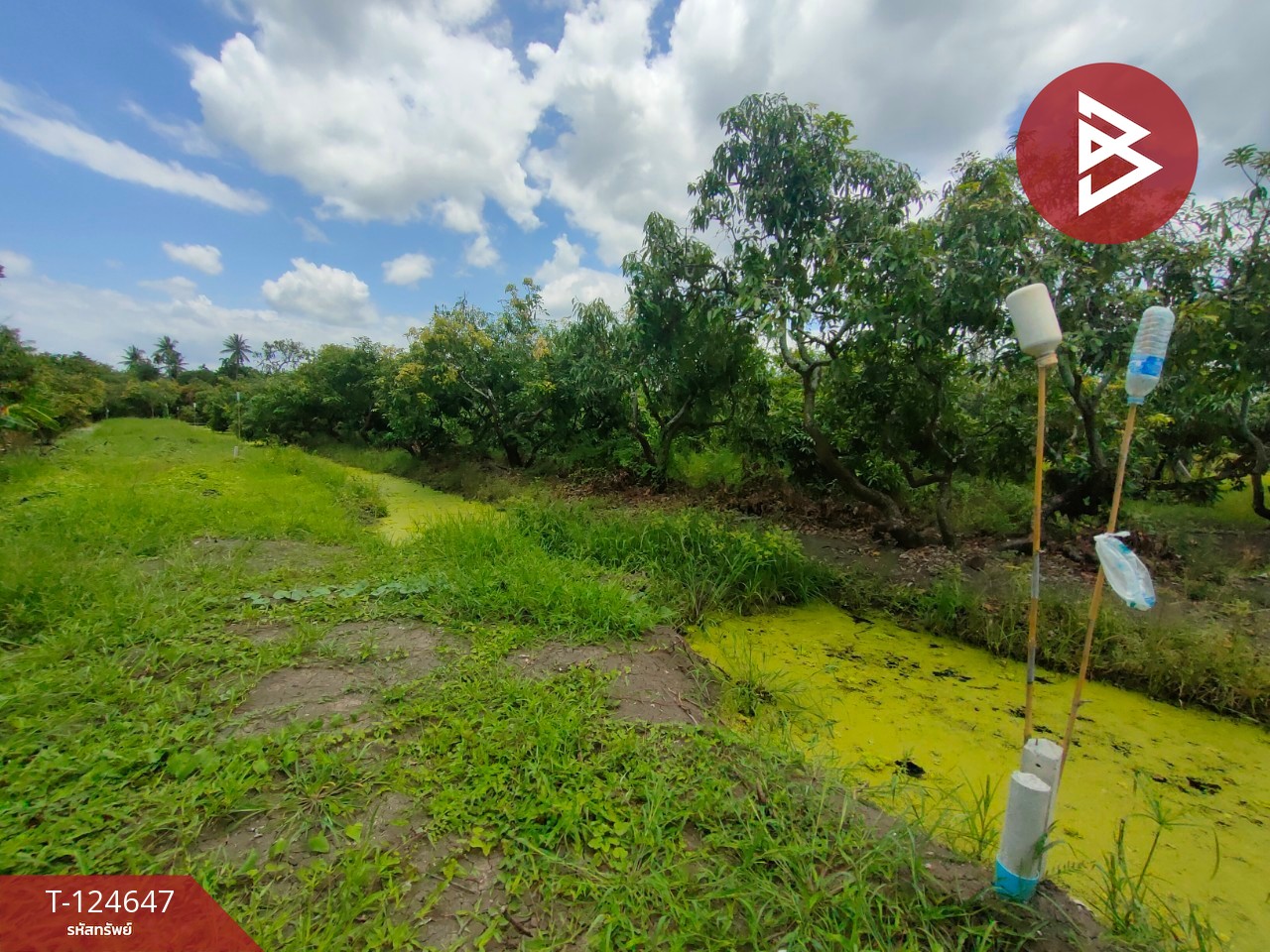 ขายที่ดิน เนื้อที่ 3 ไร่ กระทุ่มแบน สมุทรสาคร 4