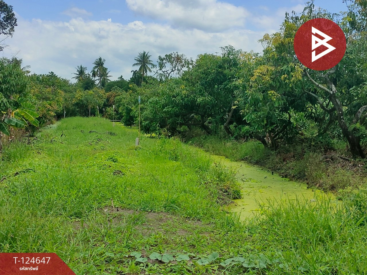 ขายที่ดิน เนื้อที่ 3 ไร่ กระทุ่มแบน สมุทรสาคร 13