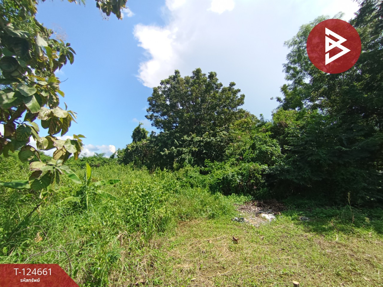 ขายที่ดิน เนื้อที่ 18 ไร่ 1 งาน 24 ตร.วา หนองแค สระบุรี 10