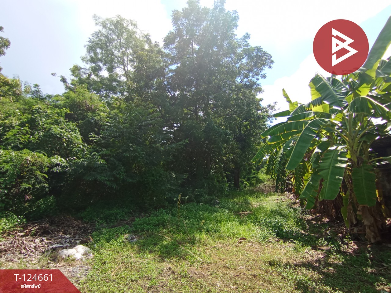 ขายที่ดิน เนื้อที่ 18 ไร่ 1 งาน 24 ตร.วา หนองแค สระบุรี 13