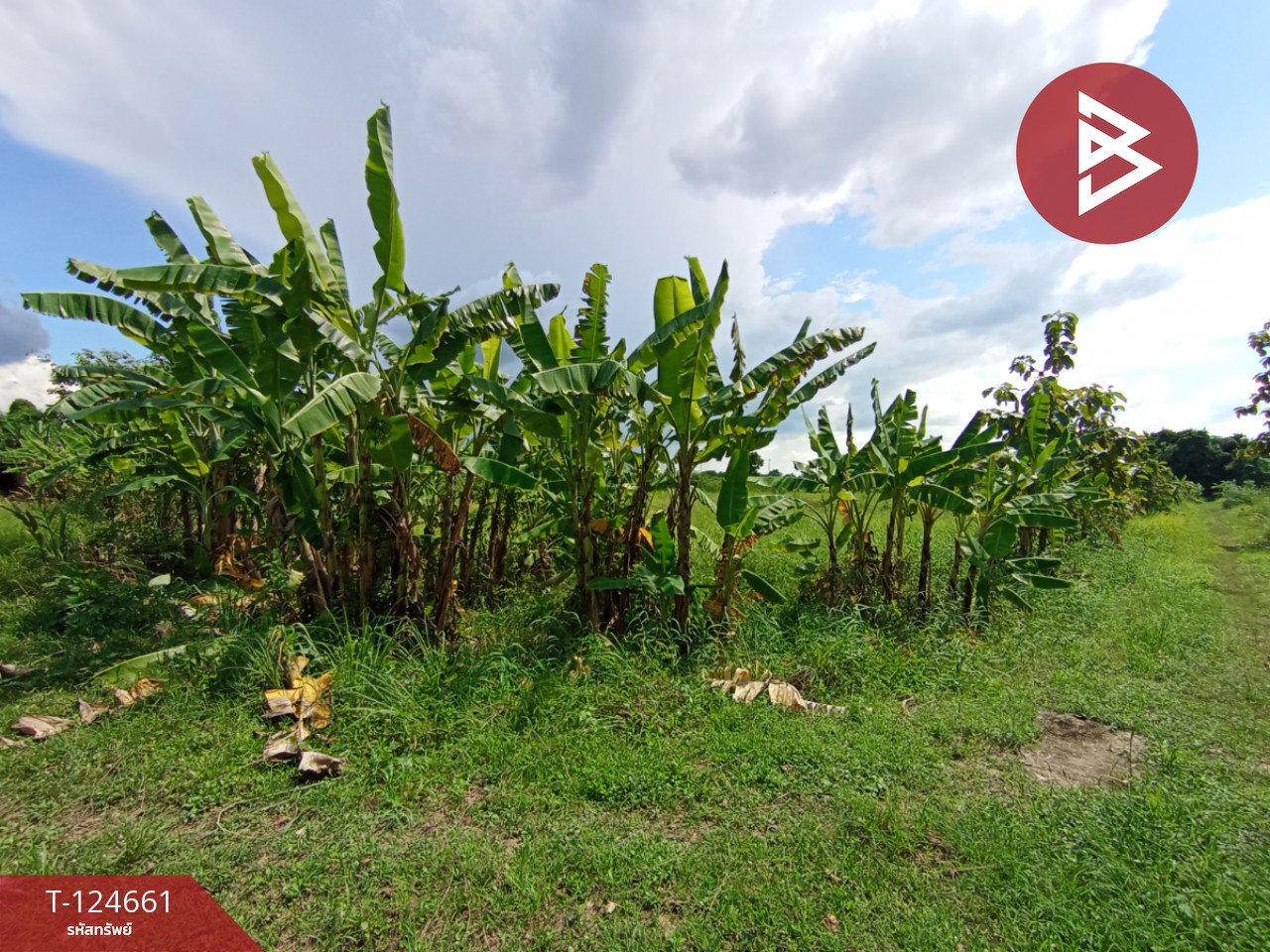 ขายที่ดิน เนื้อที่ 18 ไร่ 1 งาน 24 ตร.วา หนองแค สระบุรี 11