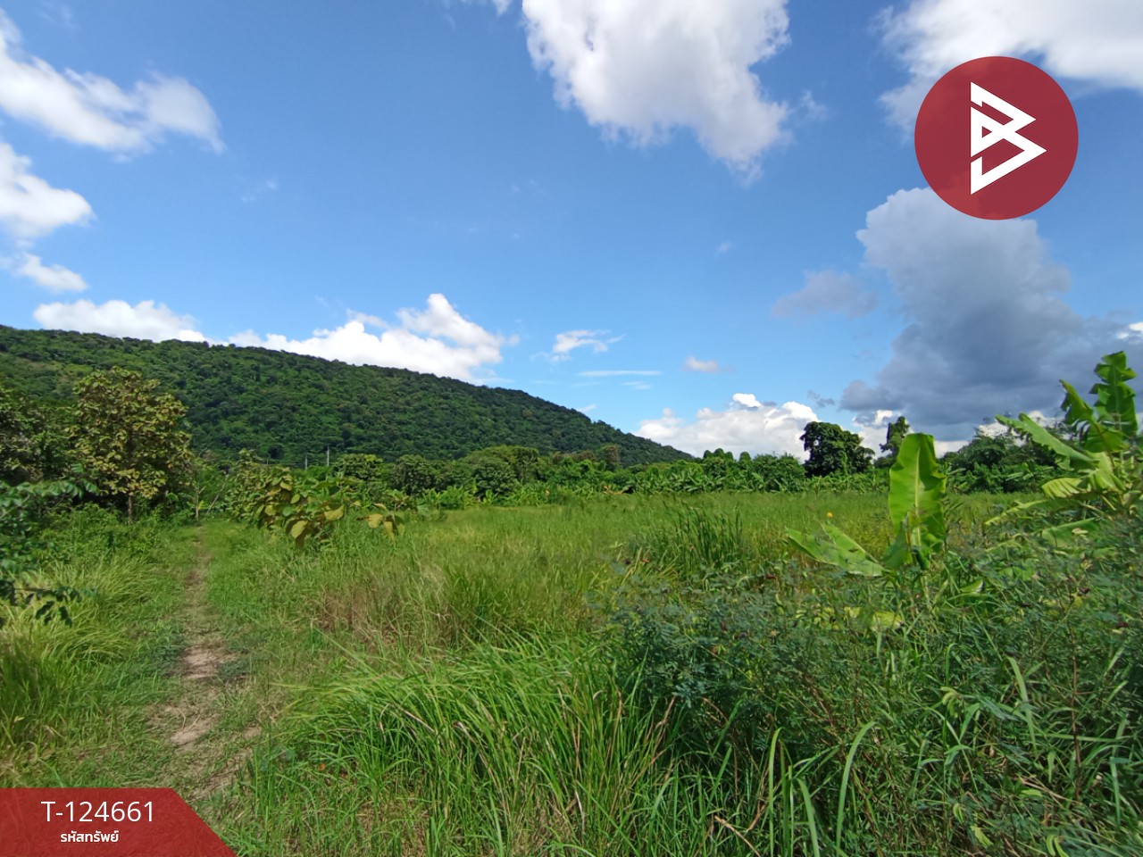 ขายที่ดิน เนื้อที่ 18 ไร่ 1 งาน 24 ตร.วา หนองแค สระบุรี 1