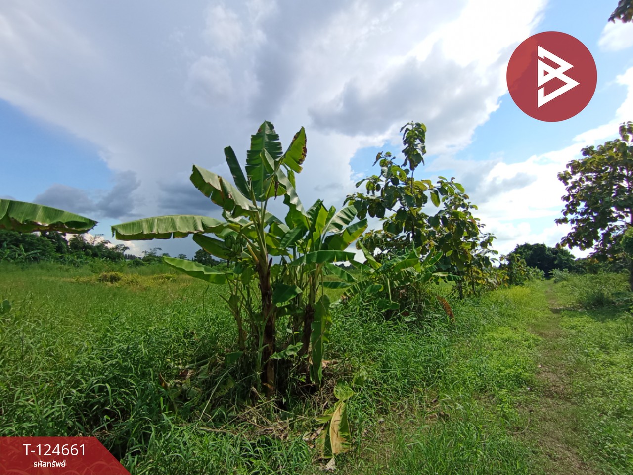 ขายที่ดิน เนื้อที่ 18 ไร่ 1 งาน 24 ตร.วา หนองแค สระบุรี 3