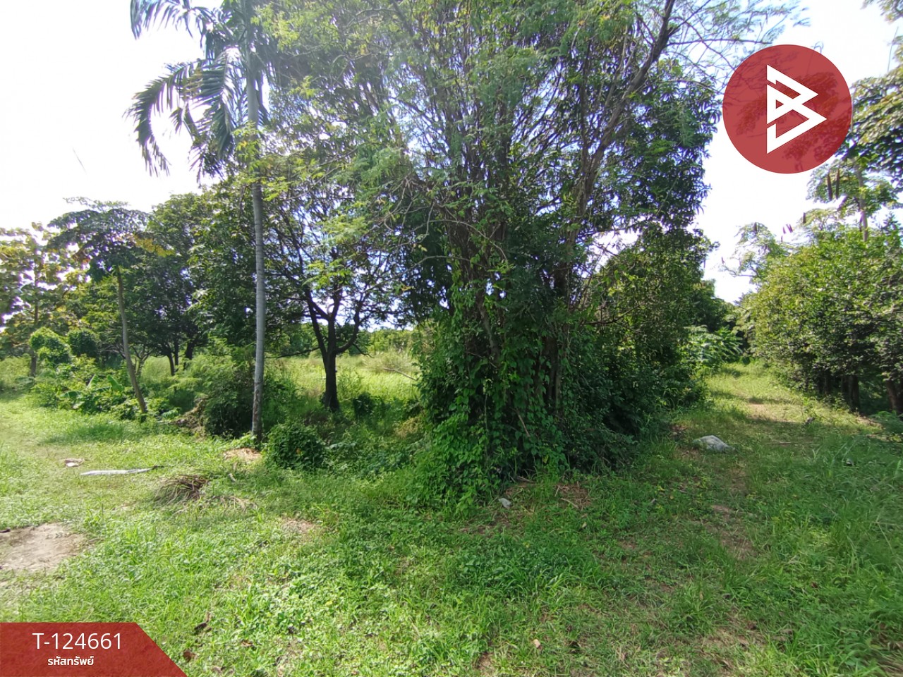 ขายที่ดิน เนื้อที่ 18 ไร่ 1 งาน 24 ตร.วา หนองแค สระบุรี 9