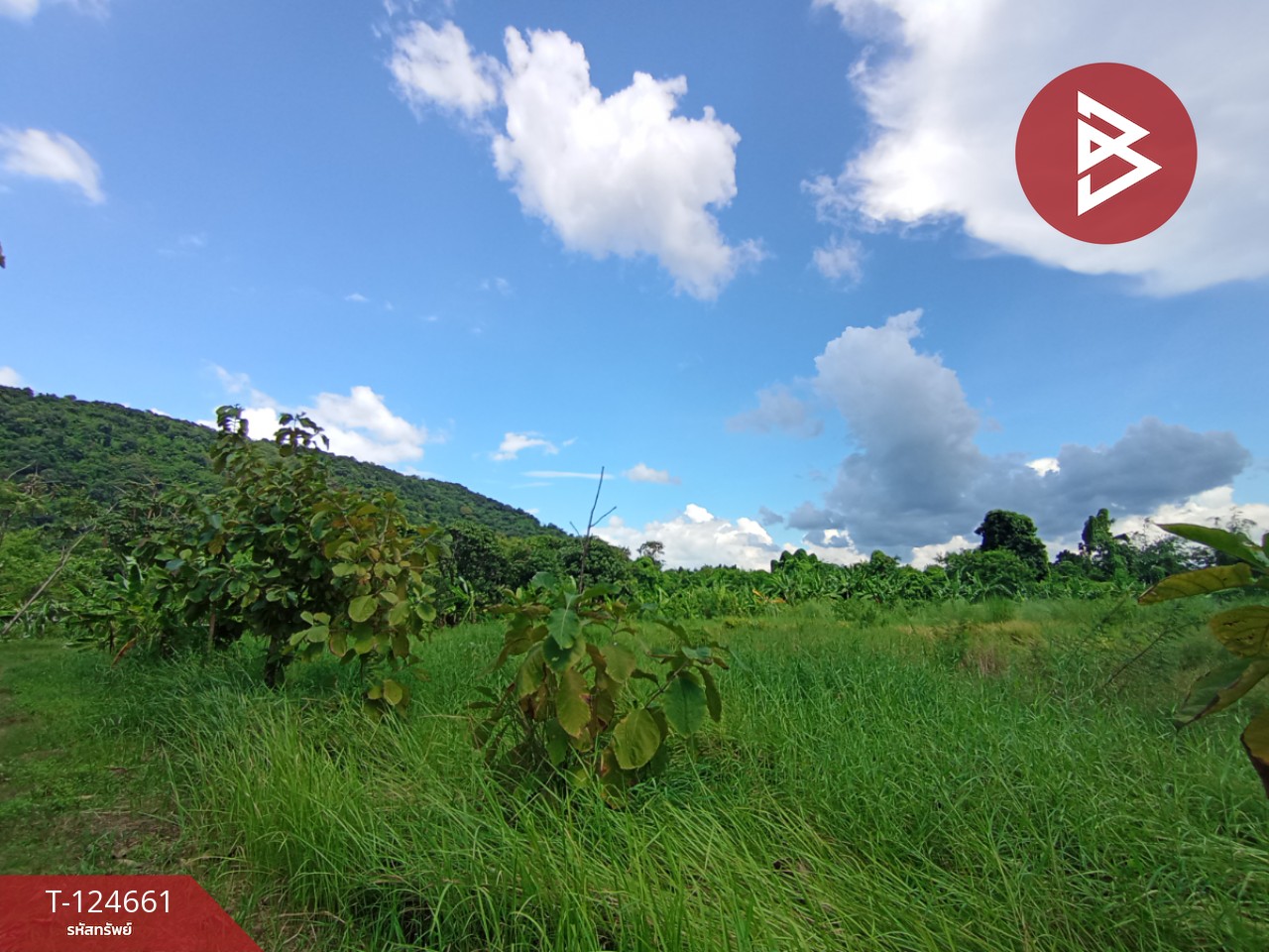 ขายที่ดิน เนื้อที่ 18 ไร่ 1 งาน 24 ตร.วา หนองแค สระบุรี 2