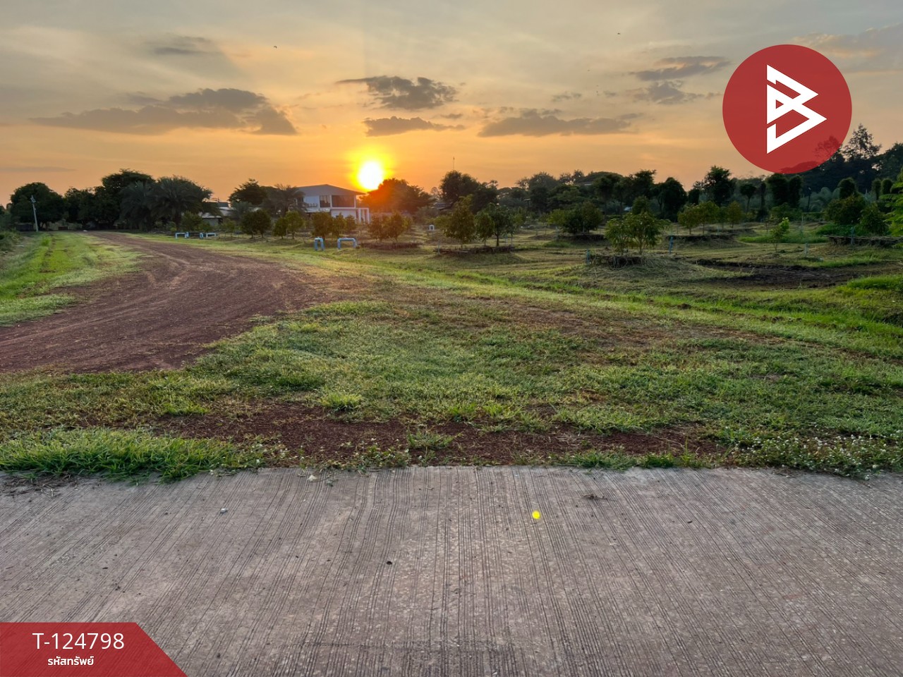 ขายที่ดินสวนผลไม้ พร้อมสิ่งปลูกสร้าง เนื้อที่ 23 ไร่ 1 งาน 64 ตารางวา พิษณุโลก 1