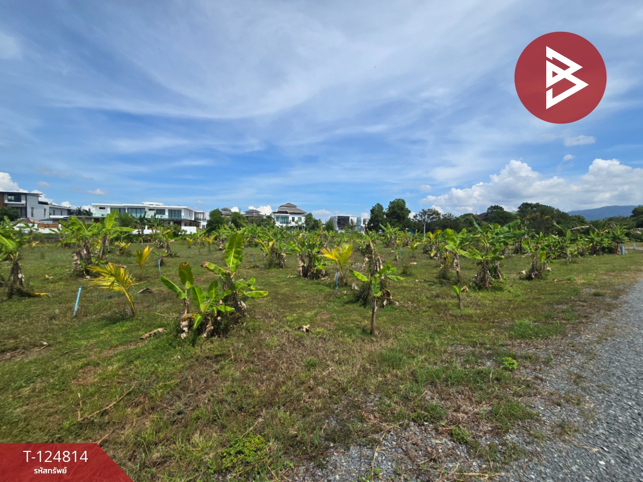 ขายที่ดิน เนื้อที่ 2 ไร่ 2 งาน จันทนิมิต จันทบุรี 6