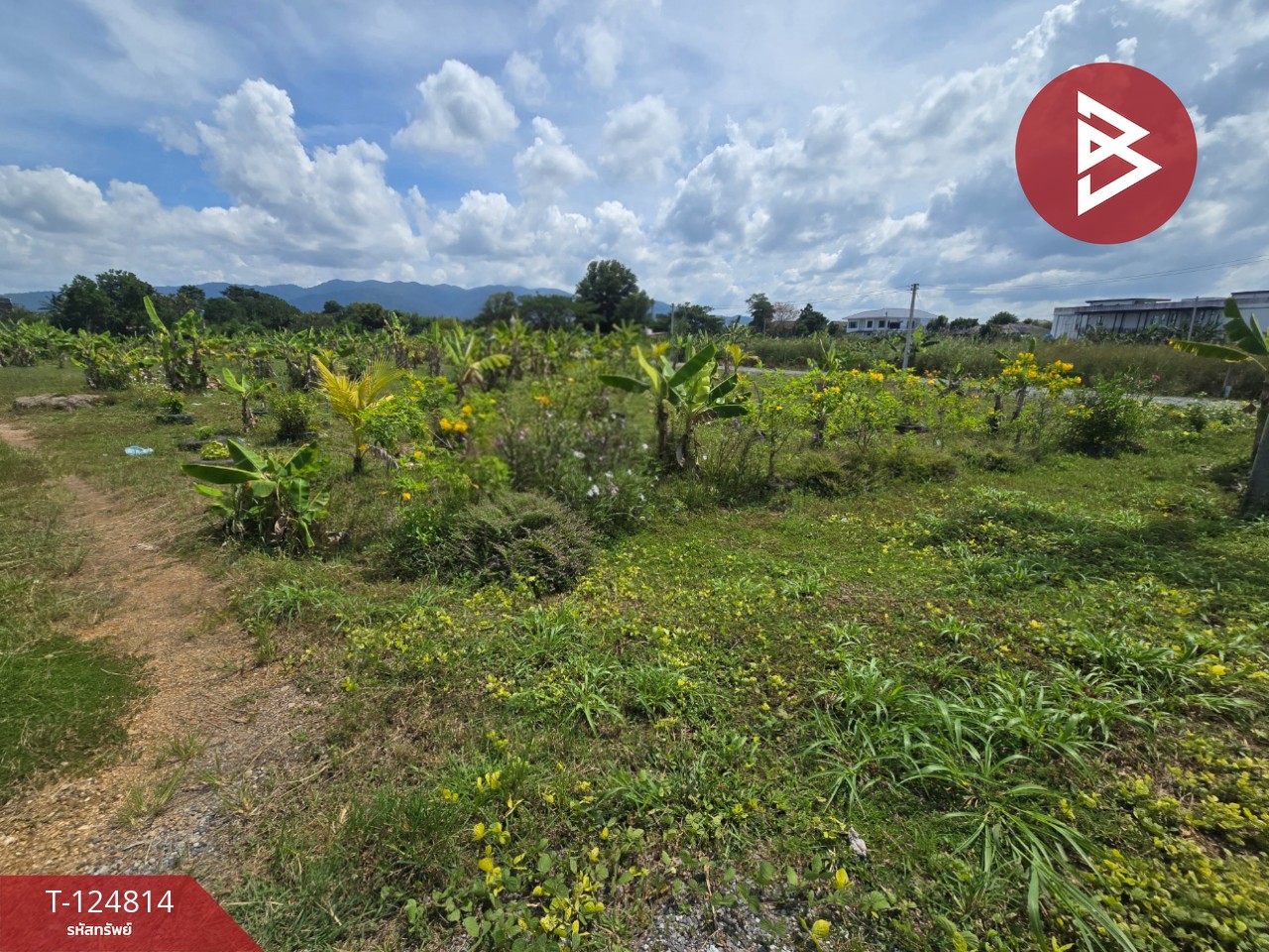 ขายที่ดิน เนื้อที่ 2 ไร่ 2 งาน จันทนิมิต จันทบุรี 11