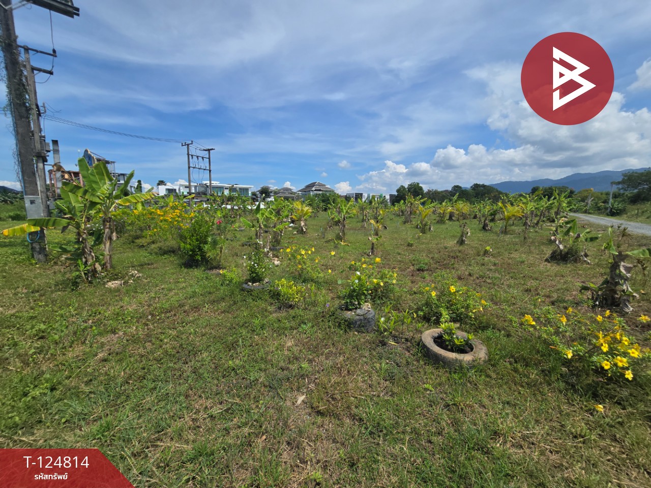 ขายที่ดิน เนื้อที่ 2 ไร่ 2 งาน จันทนิมิต จันทบุรี 5