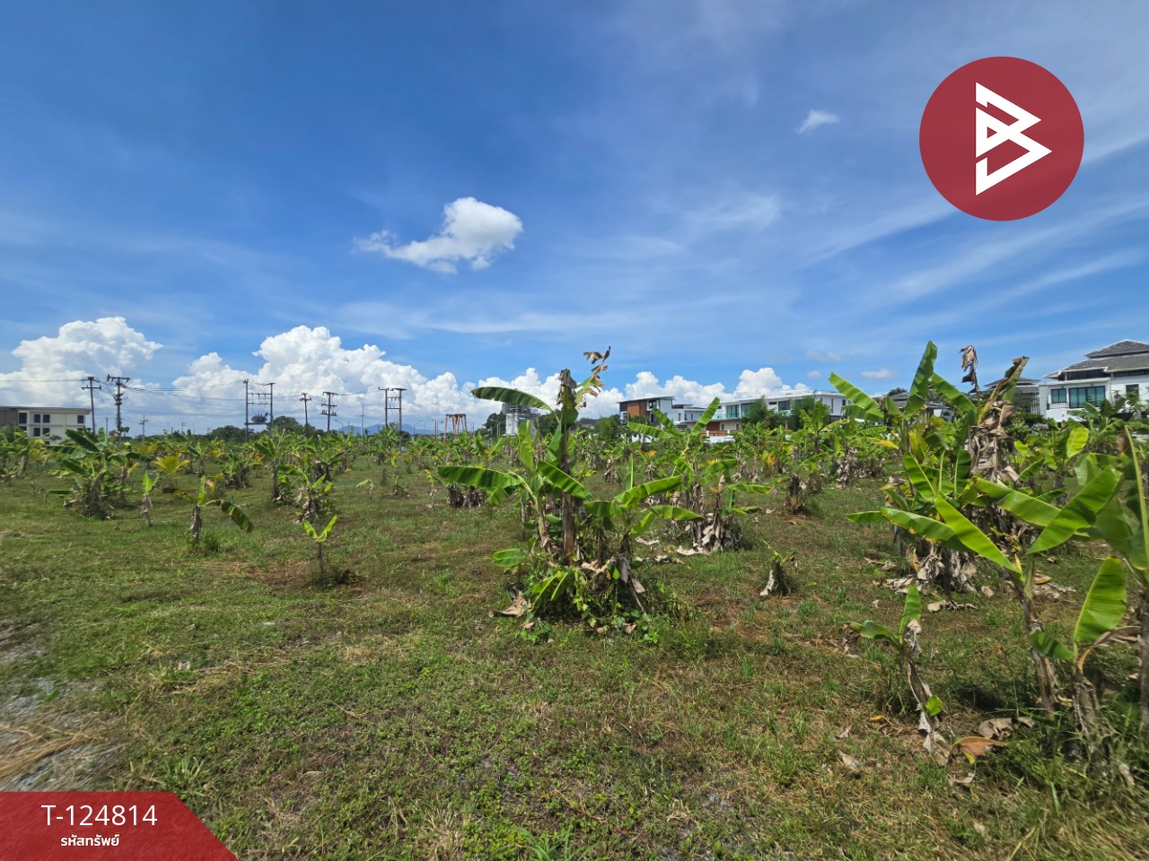 ขายที่ดิน เนื้อที่ 2 ไร่ 2 งาน จันทนิมิต จันทบุรี 7