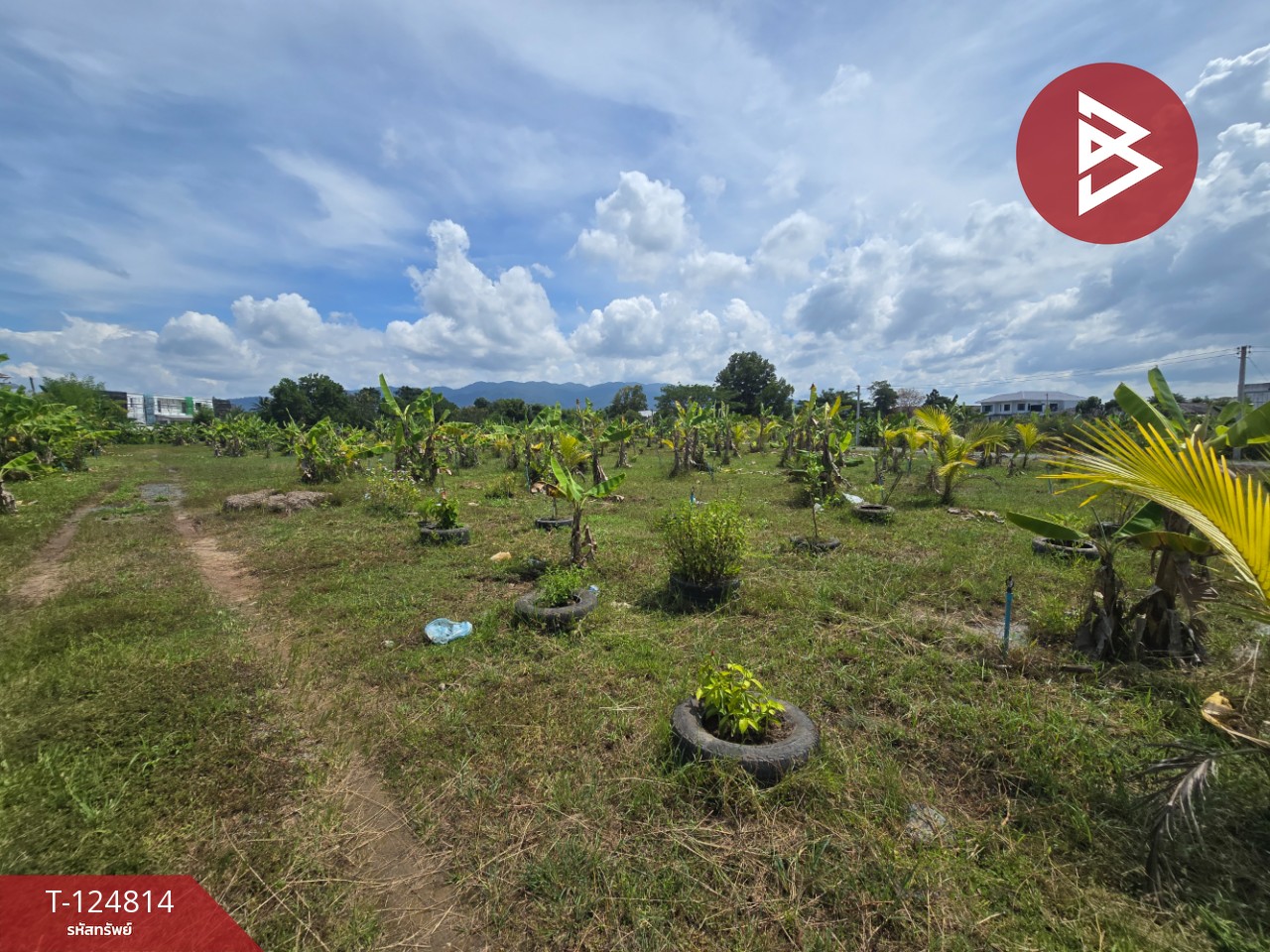 ขายที่ดิน เนื้อที่ 2 ไร่ 2 งาน จันทนิมิต จันทบุรี 8