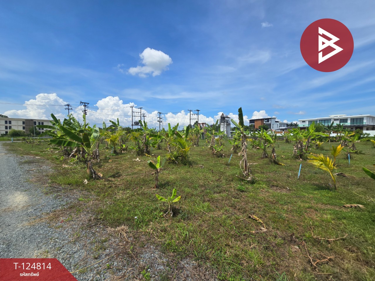 ขายที่ดิน เนื้อที่ 2 ไร่ 2 งาน จันทนิมิต จันทบุรี 10