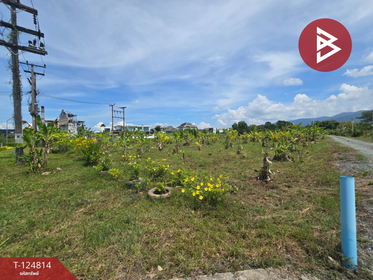 ขายที่ดิน เนื้อที่ 2 ไร่ 2 งาน จันทนิมิต จันทบุรี 9