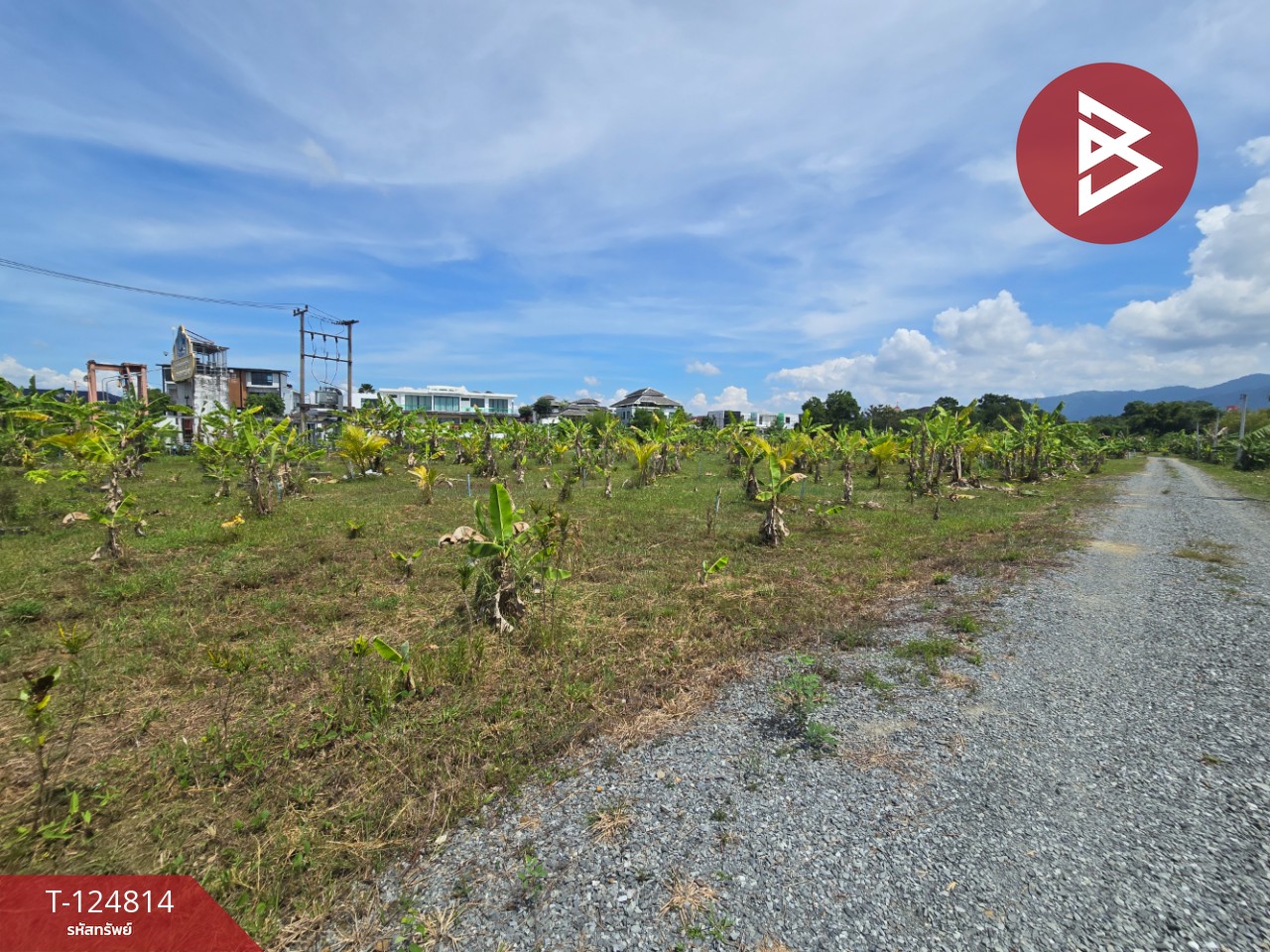 ขายที่ดิน เนื้อที่ 2 ไร่ 2 งาน จันทนิมิต จันทบุรี 12