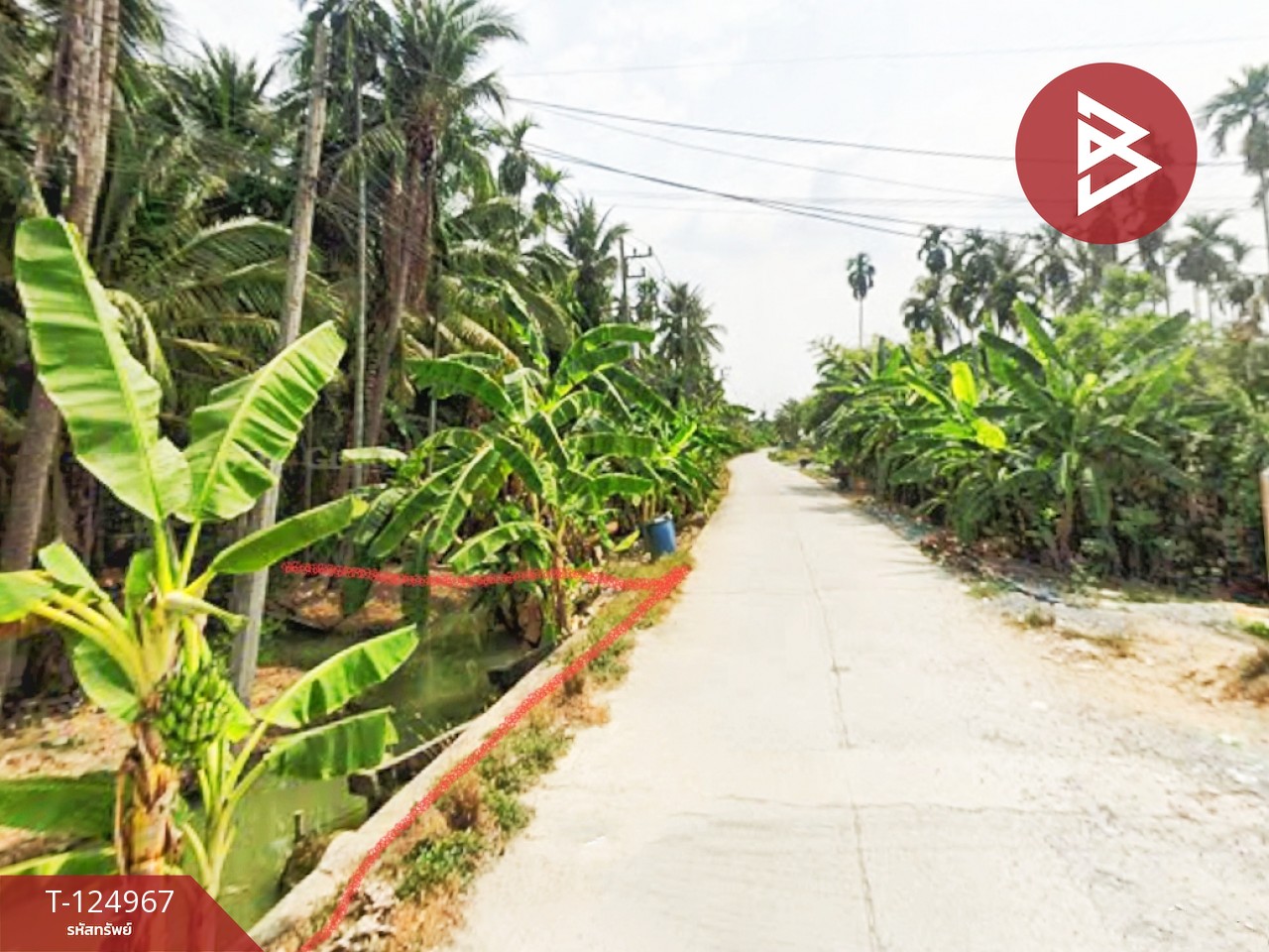 ขายที่ดินสวนมะพร้าว เนื้อที่ 2 ไร่ 57 ตารางวา ท่าตลาด สามพราน นครปฐม 2