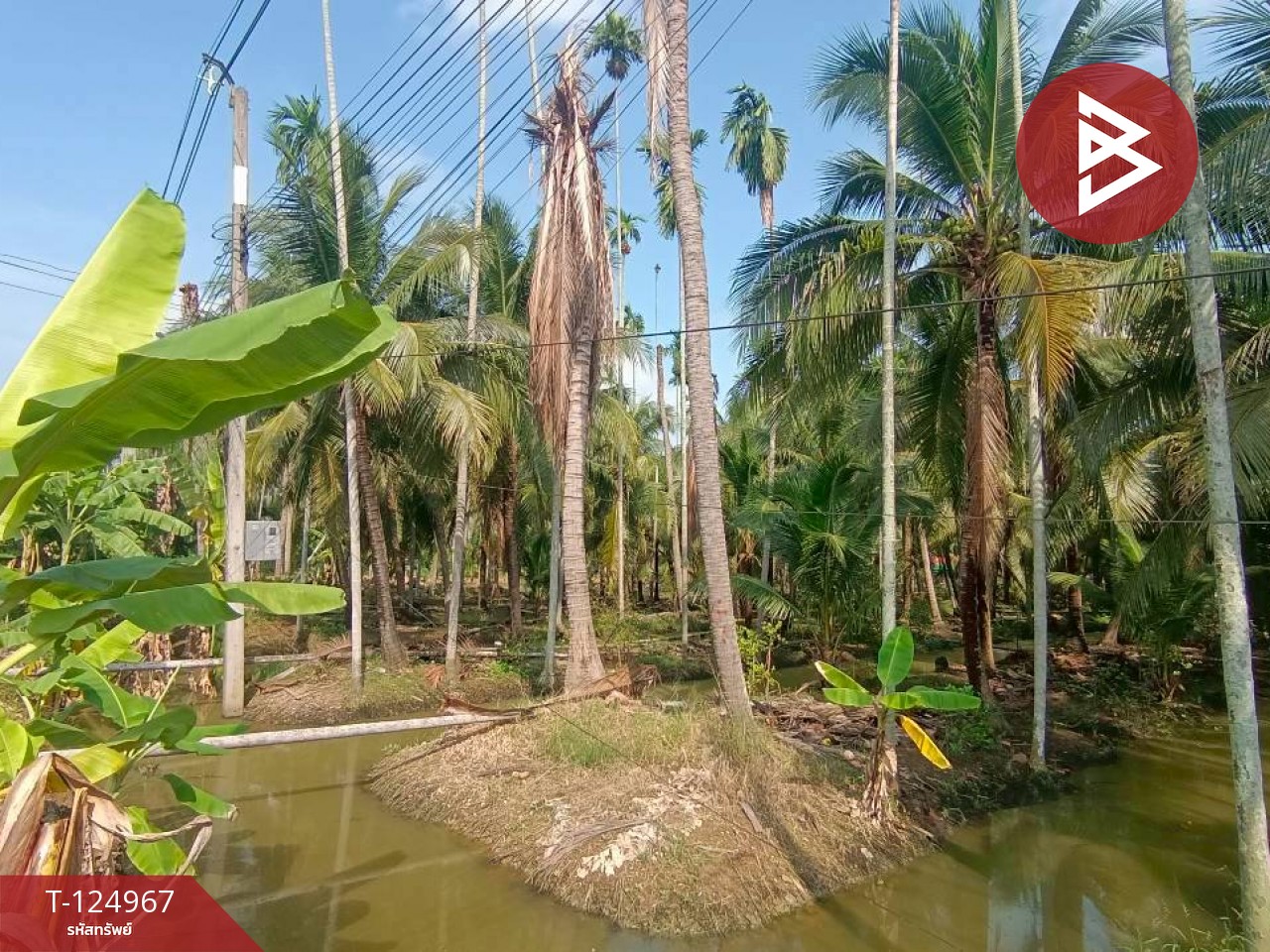 ขายที่ดินสวนมะพร้าว เนื้อที่ 2 ไร่ 57 ตารางวา ท่าตลาด สามพราน นครปฐม 3