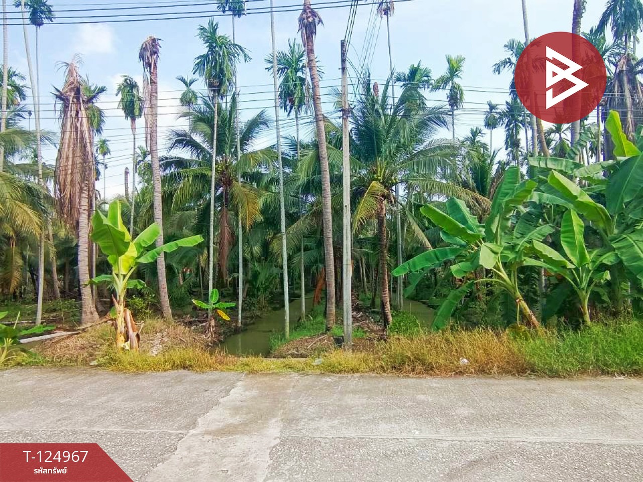 ขายที่ดินสวนมะพร้าว เนื้อที่ 2 ไร่ 57 ตารางวา ท่าตลาด สามพราน นครปฐม 1