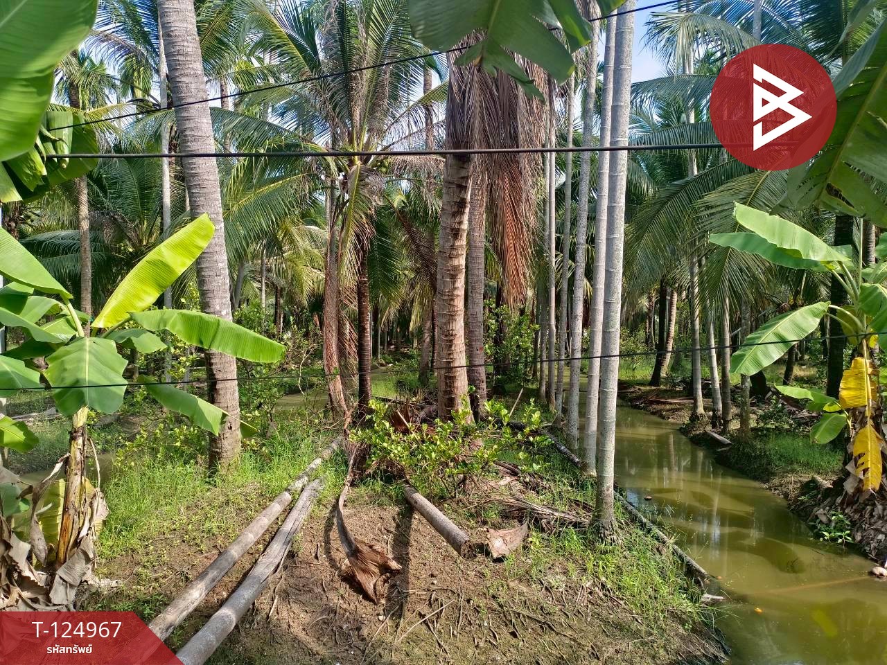 ขายที่ดินสวนมะพร้าว เนื้อที่ 2 ไร่ 57 ตารางวา ท่าตลาด สามพราน นครปฐม 5