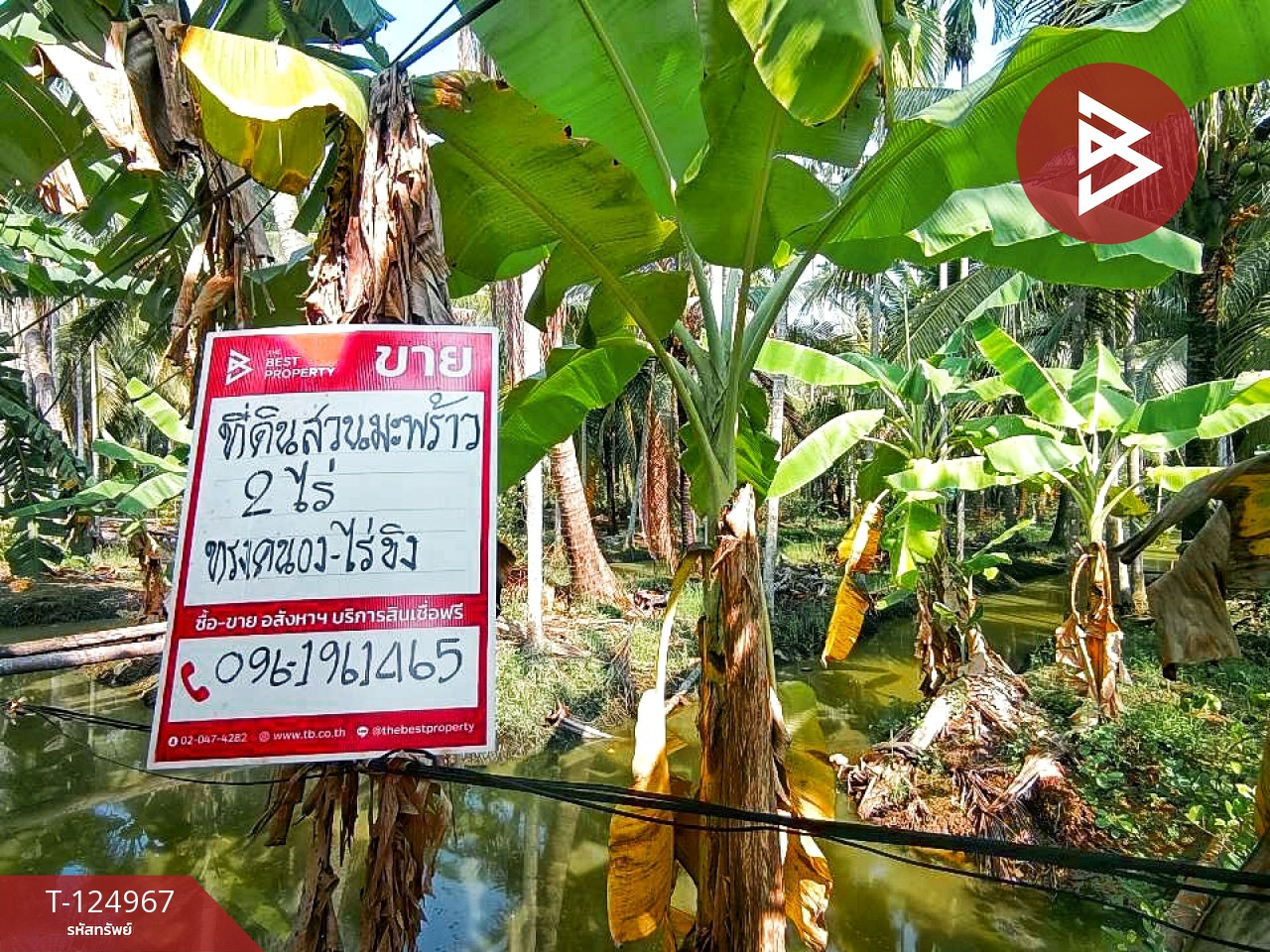 ขายที่ดินสวนมะพร้าว เนื้อที่ 2 ไร่ 57 ตารางวา ท่าตลาด สามพราน นครปฐม 8