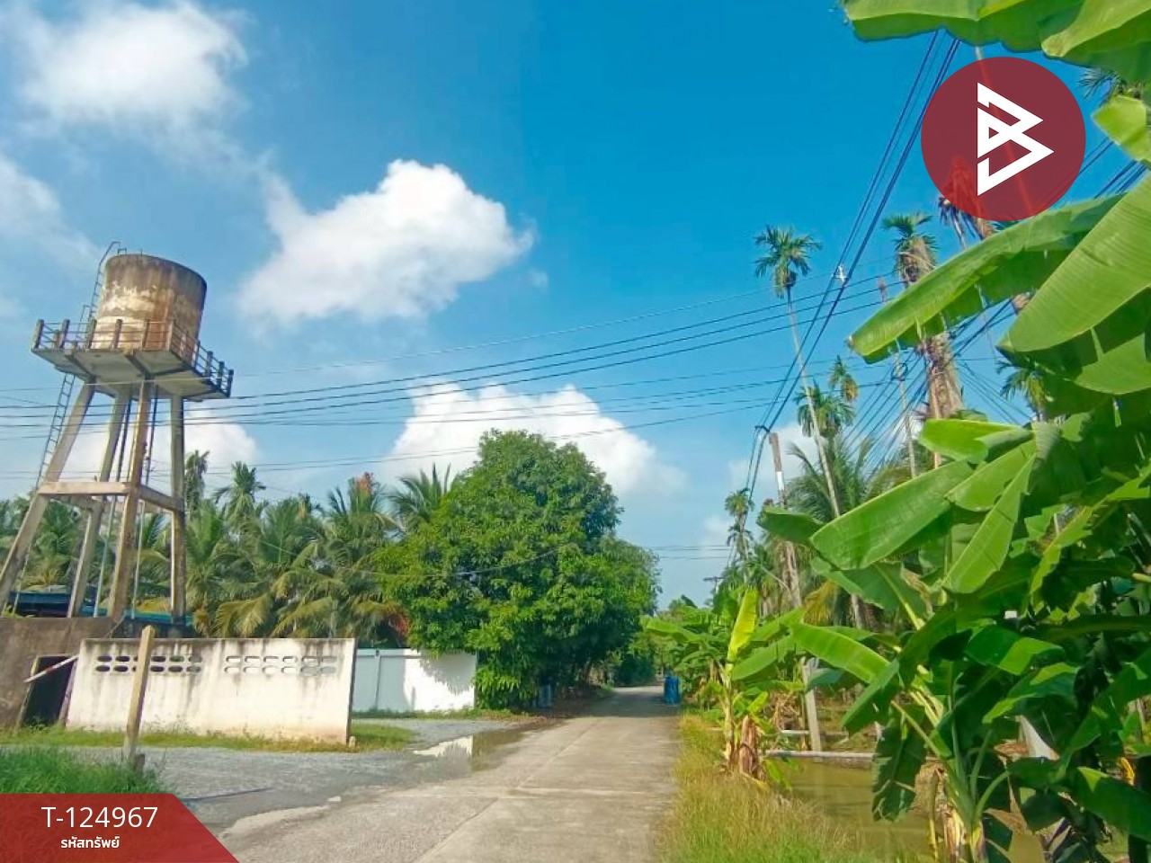 ขายที่ดินสวนมะพร้าว เนื้อที่ 2 ไร่ 57 ตารางวา ท่าตลาด สามพราน นครปฐม 7