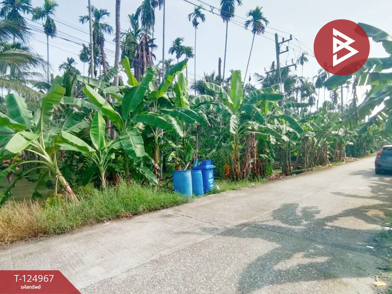 ขายที่ดินสวนมะพร้าว เนื้อที่ 2 ไร่ 57 ตารางวา ท่าตลาด สามพราน นครปฐม 6