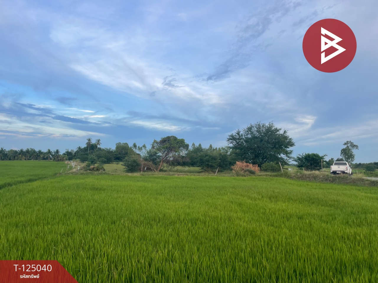 ขายที่ดิน เนื้อที่ 15 ไร่ ศรีประจันต์ สุพรรณบุรี 4