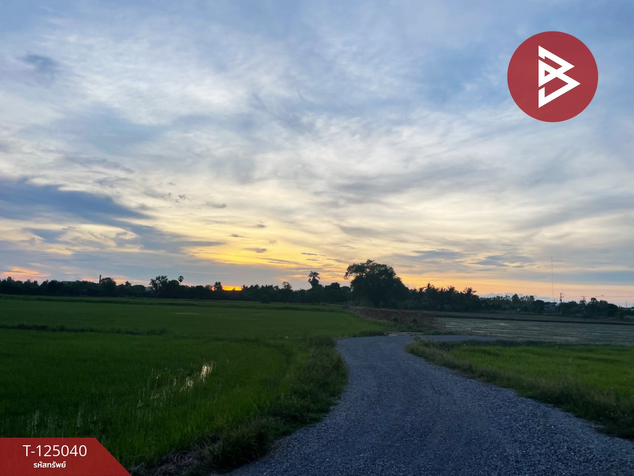 ขายที่ดิน เนื้อที่ 15 ไร่ ศรีประจันต์ สุพรรณบุรี 8