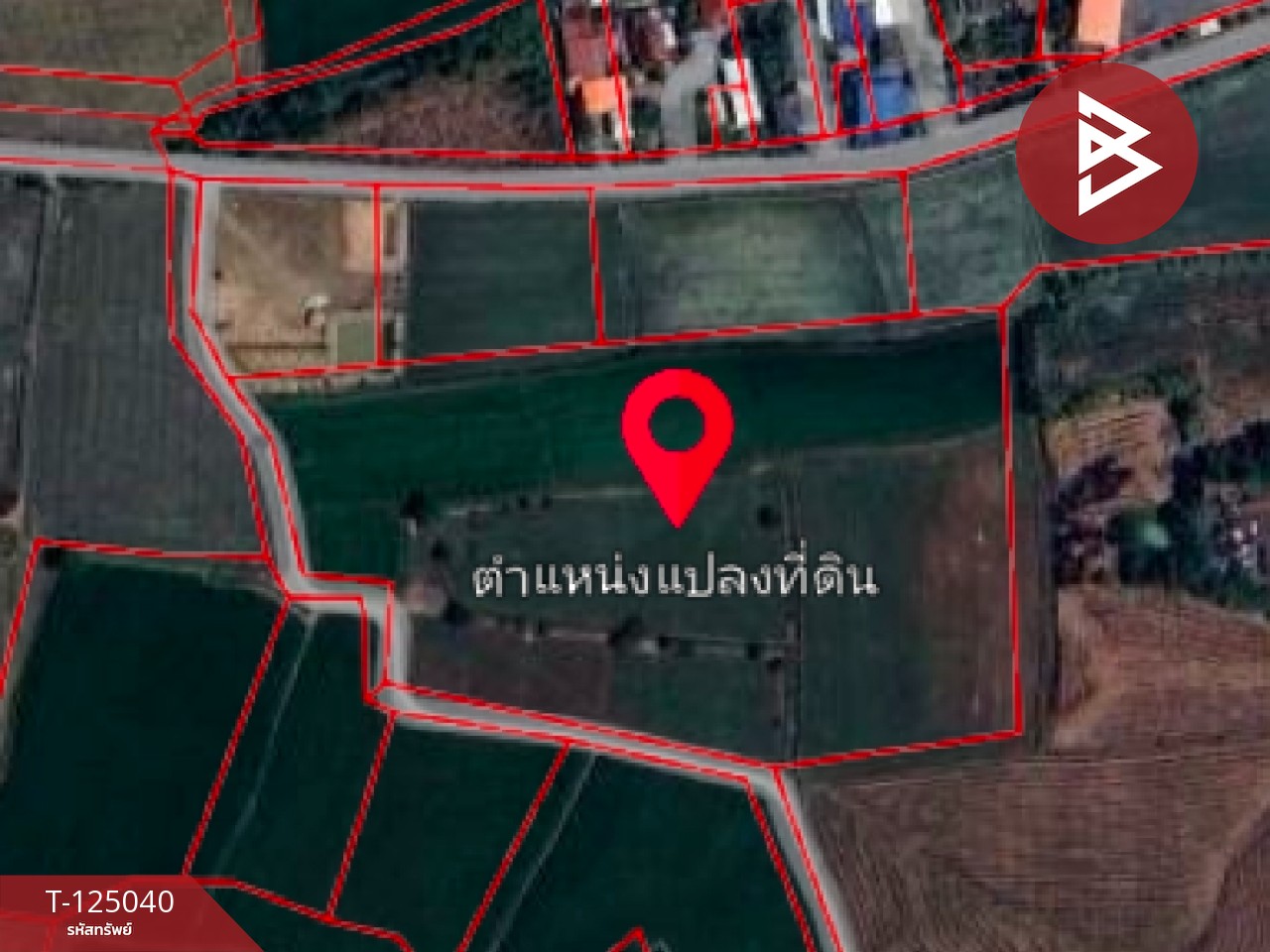 ขายที่ดิน เนื้อที่ 15 ไร่ ศรีประจันต์ สุพรรณบุรี 9