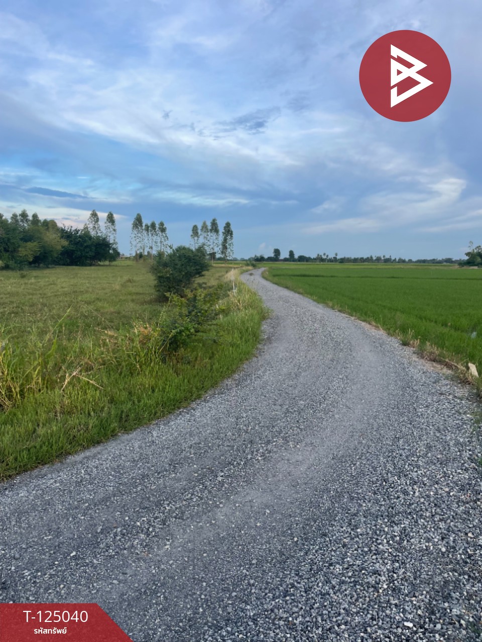 ขายที่ดิน เนื้อที่ 15 ไร่ ศรีประจันต์ สุพรรณบุรี 7