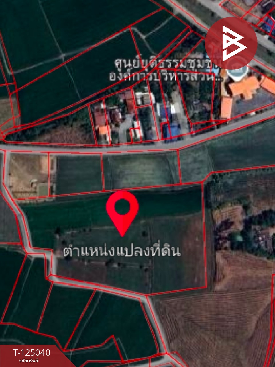 ขายที่ดิน เนื้อที่ 15 ไร่ ศรีประจันต์ สุพรรณบุรี 10