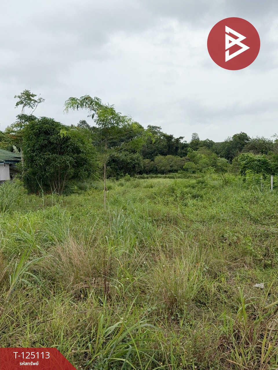 ขายที่ดิน 1 ไร่ 23 ตารางวา ต.หนองตะพาน อ.บ้านค่าย จ.ระยอง 2