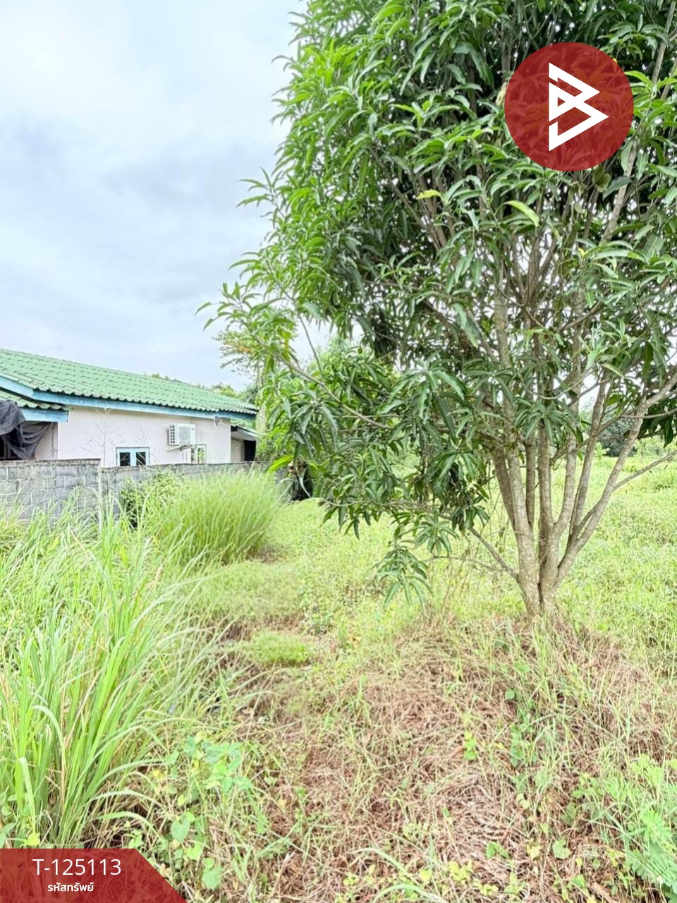 ขายที่ดิน 1 ไร่ 23 ตารางวา ต.หนองตะพาน อ.บ้านค่าย จ.ระยอง 1