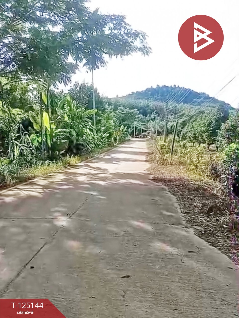 ขายที่ดินพร้อมสิ่งปลูกสร้าง เนื้อที่ 3 งาน 84.3 ตร.วา กะเฉด ระยอง 4