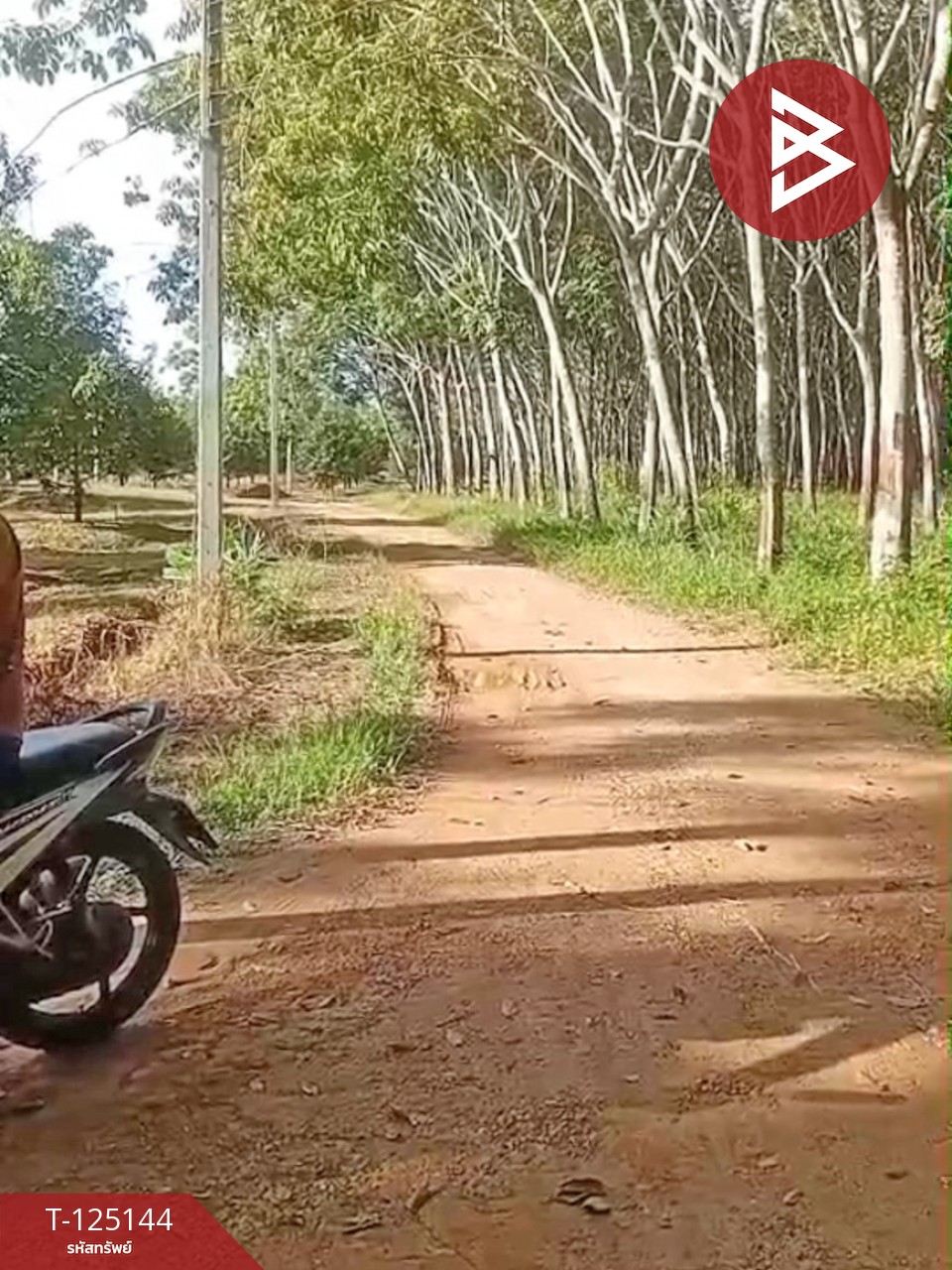 ขายที่ดินพร้อมสิ่งปลูกสร้าง เนื้อที่ 3 งาน 84.3 ตร.วา กะเฉด ระยอง 3