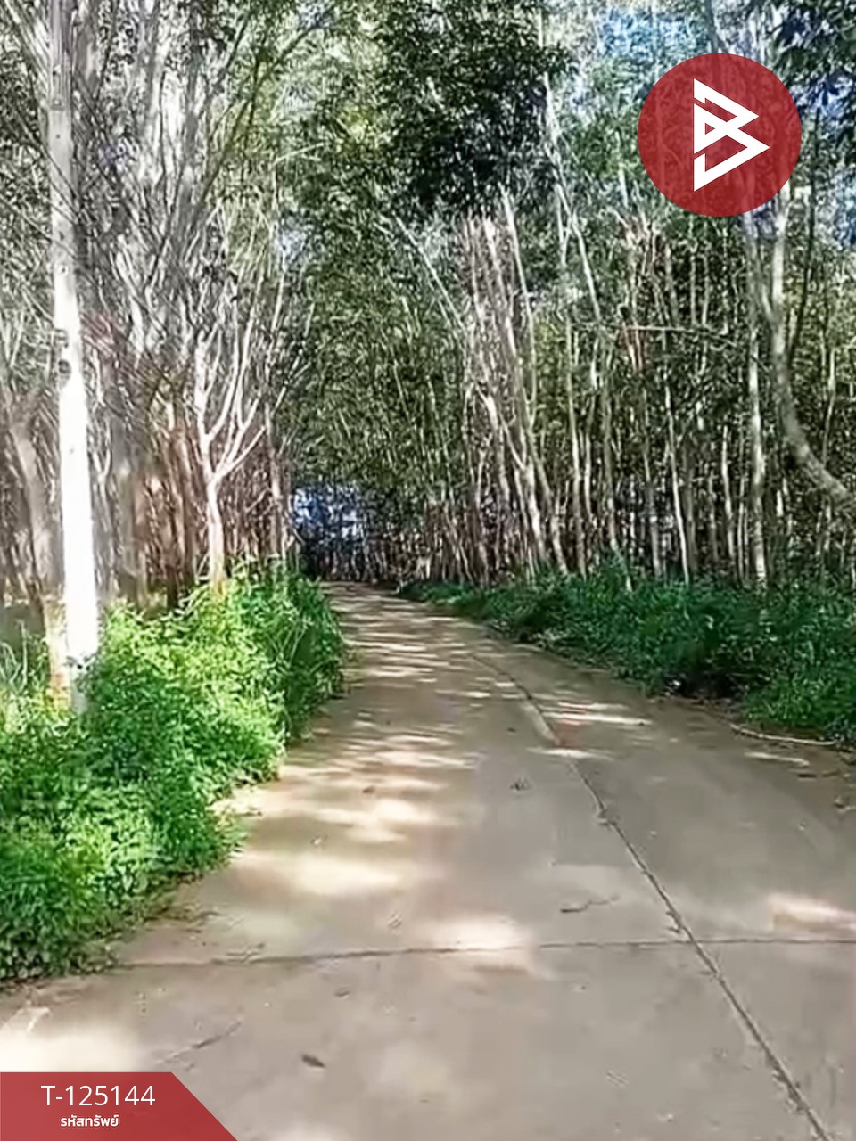 ขายที่ดินพร้อมสิ่งปลูกสร้าง เนื้อที่ 3 งาน 84.3 ตร.วา กะเฉด ระยอง 5