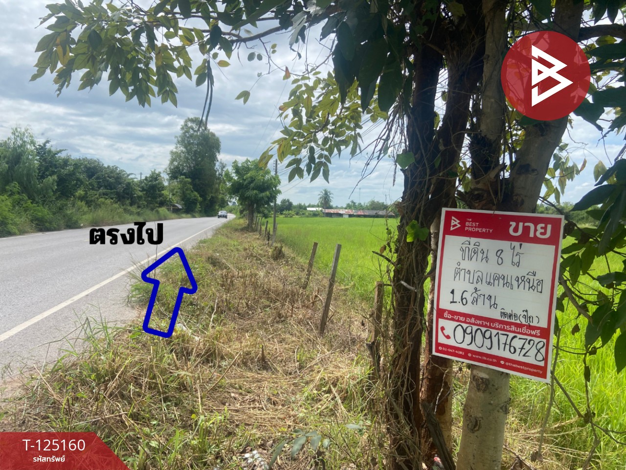 ขายที่ดิน เนื้อที่ 8 ไร่ บ้านไผ่ ขอนแก่น 8