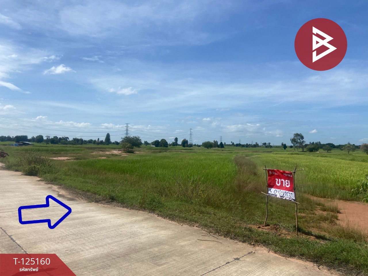 ขายที่ดิน เนื้อที่ 8 ไร่ บ้านไผ่ ขอนแก่น 11