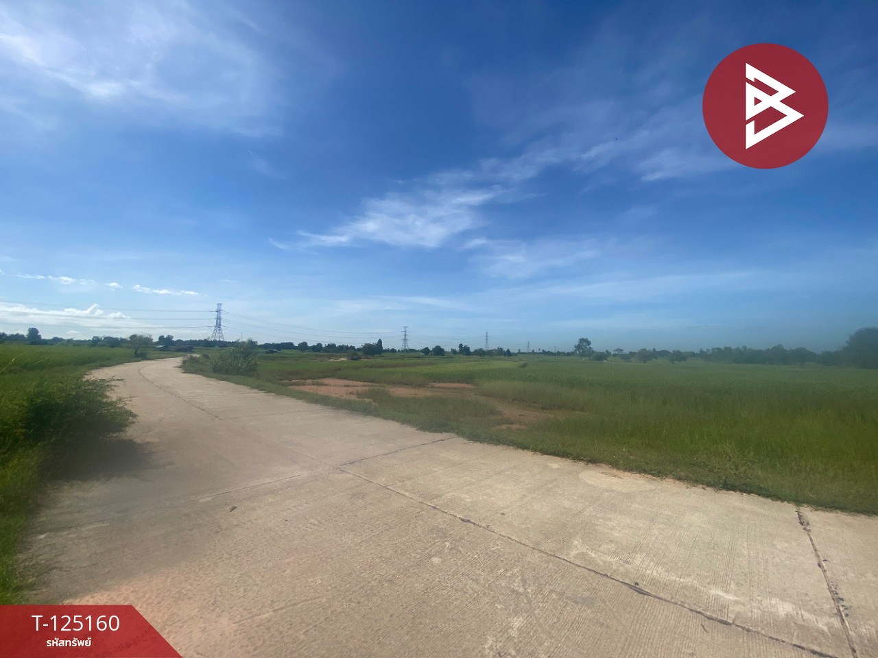 ขายที่ดิน เนื้อที่ 8 ไร่ บ้านไผ่ ขอนแก่น 10