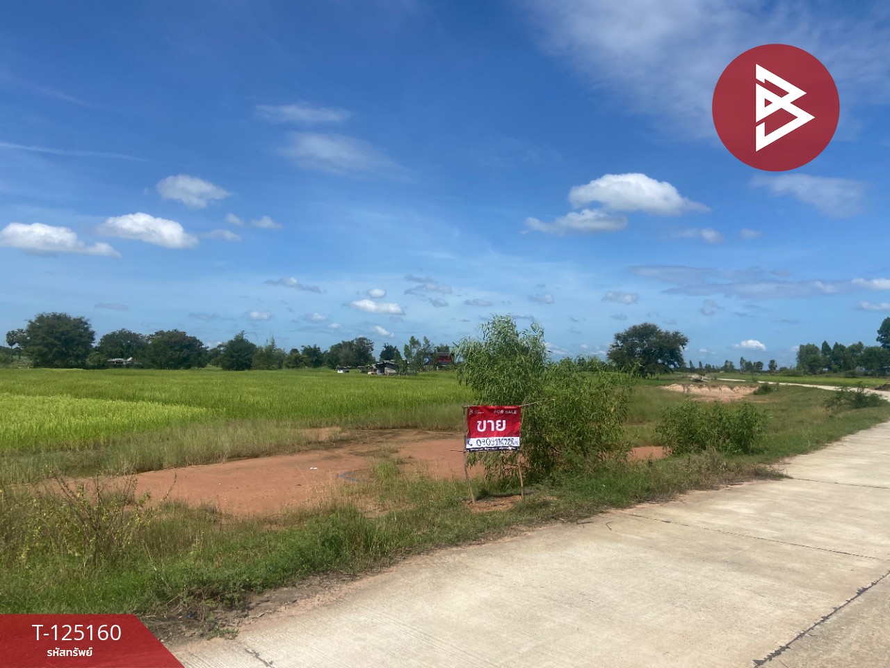 ขายที่ดิน เนื้อที่ 8 ไร่ บ้านไผ่ ขอนแก่น 1